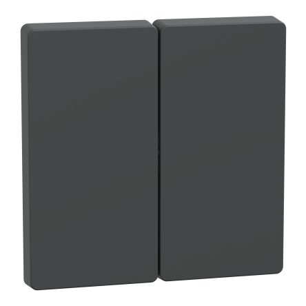 Schneider Electric Rocker Switch Flush